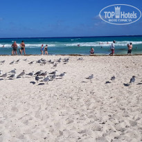 фото из отзыва ID 1935718