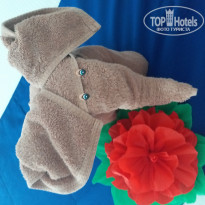 фото из отзыва ID 1935718