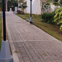 фото из отзыва ID 1935718