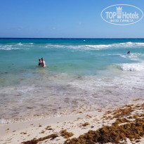 фото из отзыва ID 1935718