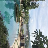 фото из отзыва ID 1935915