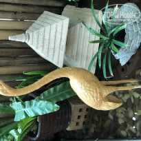 фото из отзыва ID 1935915