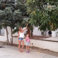 фото из отзыва ID 1936015