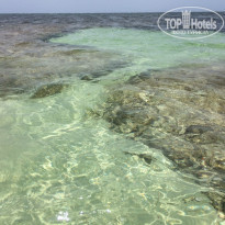 фото из отзыва ID 1936075