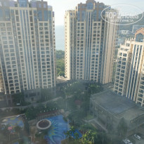 фото из отзыва ID 1936174