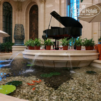 фото из отзыва ID 1936174