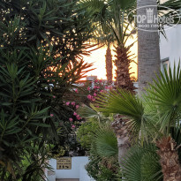 фото из отзыва ID 1936249