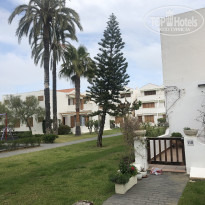 фото из отзыва ID 1936269