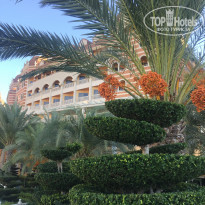 фото из отзыва ID 1936064