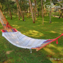 фото из отзыва ID 1936346