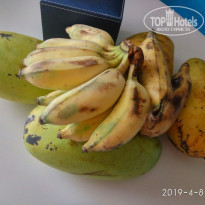 фото из отзыва ID 1936346