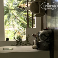 фото из отзыва ID 1936323