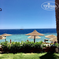 фото из отзыва ID 1936481