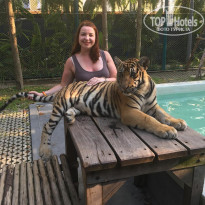 фото из отзыва ID 1936464