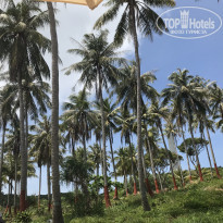 фото из отзыва ID 1936466