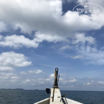 фото из отзыва ID 1936466