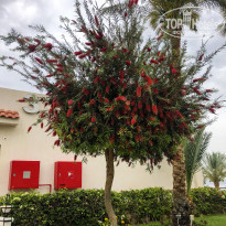 фото из отзыва ID 1936894