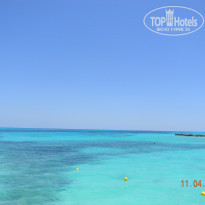 фото из отзыва ID 1936962