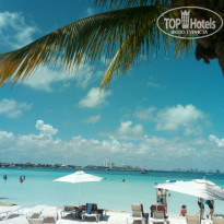 фото из отзыва ID 1936962