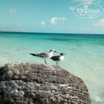 фото из отзыва ID 1936962