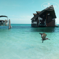 фото из отзыва ID 1936962