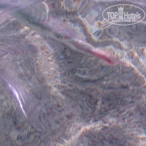 фото из отзыва ID 1937020