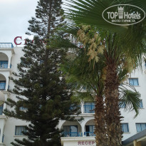 фото из отзыва ID 1937067