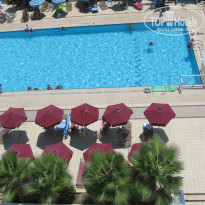 фото из отзыва ID 1937067