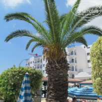 фото из отзыва ID 1937067