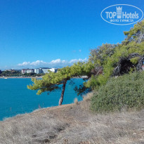 фото из отзыва ID 1936313