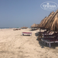 фото из отзыва ID 1937117