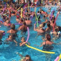 фото из отзыва ID 1937129