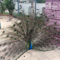 фото из отзыва ID 1937129