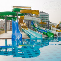 фото из отзыва ID 1937160