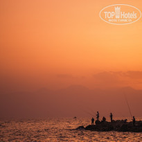 фото из отзыва ID 1937160