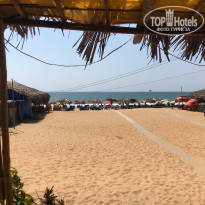 фото из отзыва ID 1937187