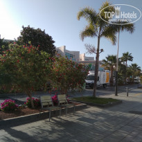 фото из отзыва ID 1937235