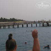 фото из отзыва ID 1937307