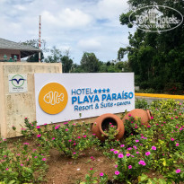 фото из отзыва ID 1937337