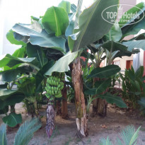 фото из отзыва ID 1937346