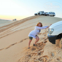 фото из отзыва ID 1937350