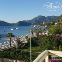 фото из отзыва ID 1937371