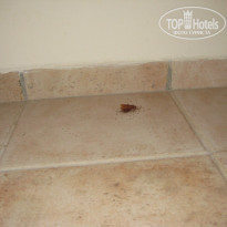 фото из отзыва ID 1937473