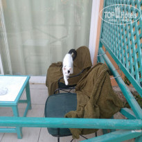 фото из отзыва ID 1937621