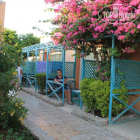 фото из отзыва ID 1937621