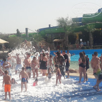 фото из отзыва ID 1937668