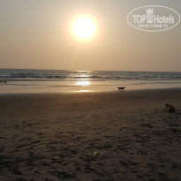 фото из отзыва ID 1937683