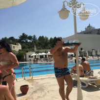 фото из отзыва ID 1937685