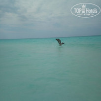 фото из отзыва ID 1937822