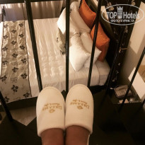 фото из отзыва ID 1937833